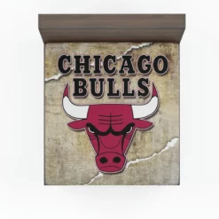Awarded NBA Basketball Team Chicago Bulls Fitted Sheet