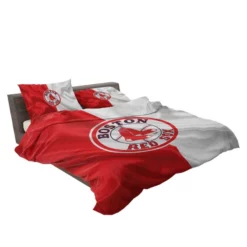 Boston Red Sox Energetic MLB Baseball Club Bedding Set 2