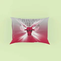 Chicago Bulls Exellelant NBA Basketball Club Pillow Case