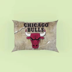 Awarded NBA Basketball Team Chicago Bulls Pillow Case