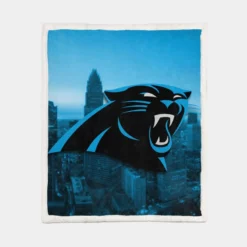 Carolina Panthers professional American Football Team Sherpa Fleece Blanket 1