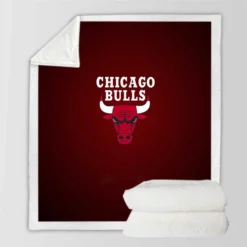 Chicago Bulls Energetic NBA Basketball Team Sherpa Fleece Blanket