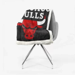 Chicago Bulls Famous NBA Basketball Team Sherpa Fleece Blanket 2